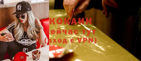 хмурый Магас