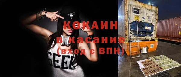 хмурый Магас