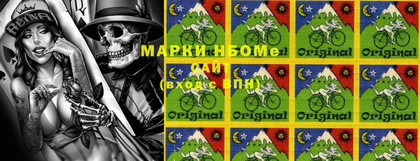 хмурый Магас