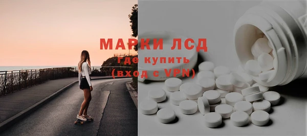 хмурый Магас