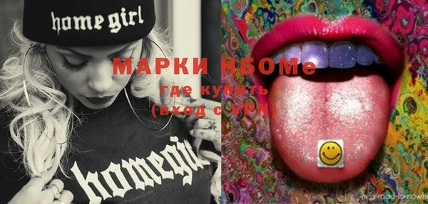 хмурый Магас