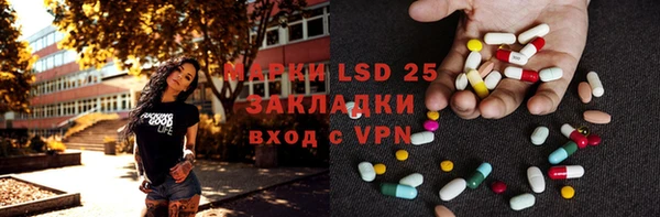 хмурый Магас
