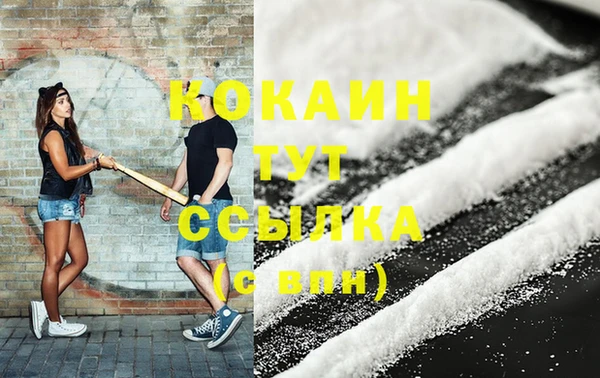 хмурый Магас