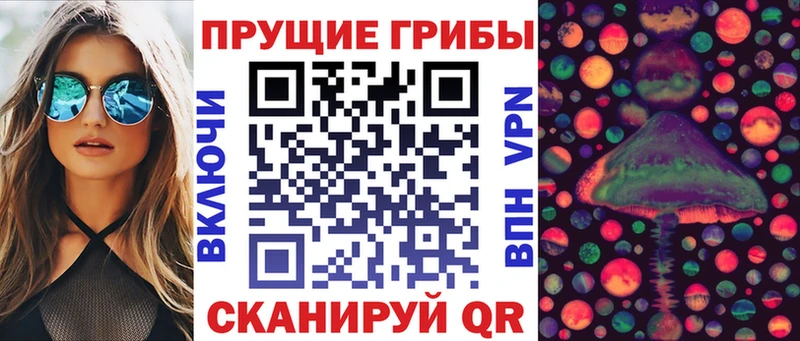 Купить где  Апрелевка  Псилоцибиновые грибы Magic Shrooms 